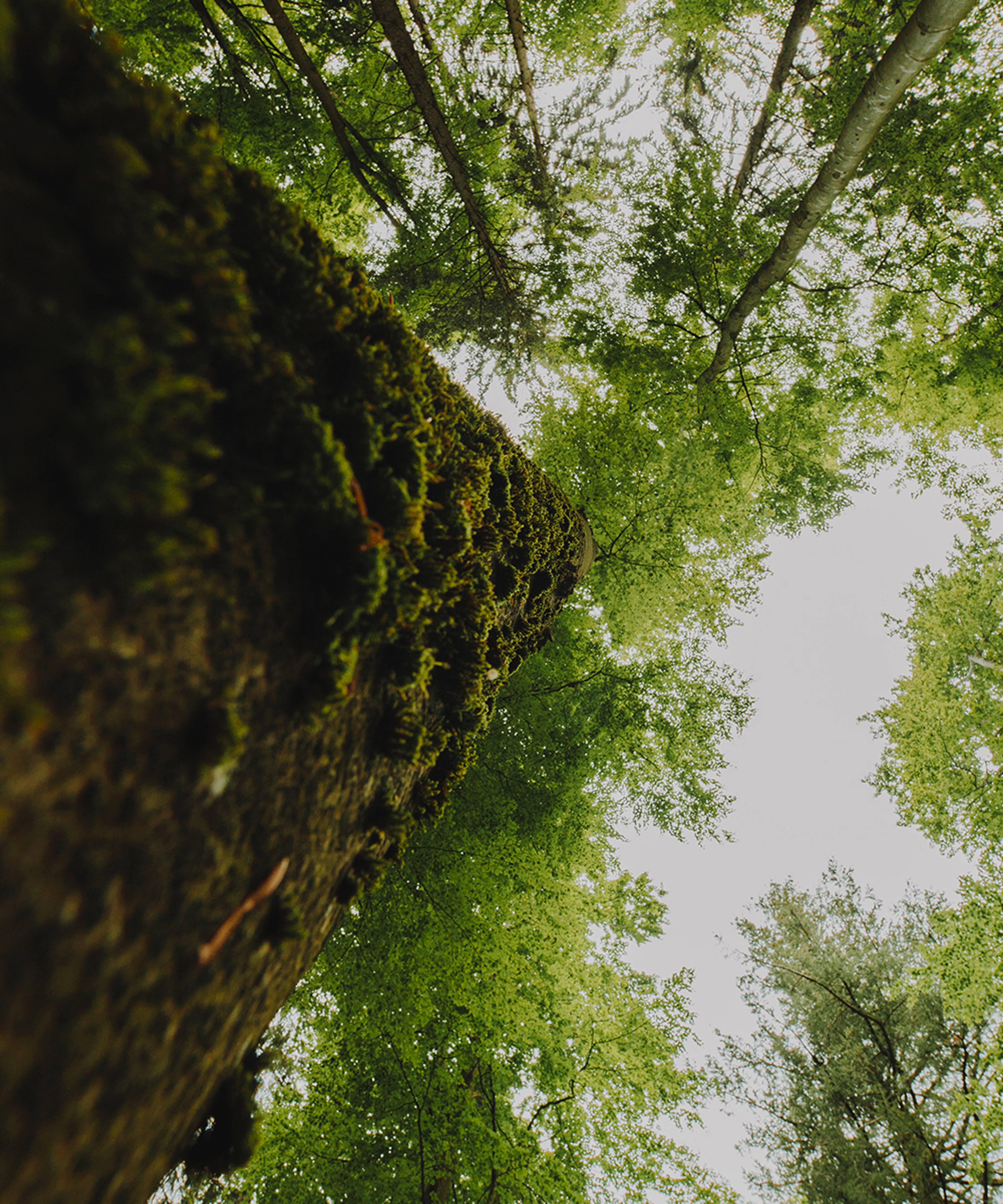 env_04.jpg